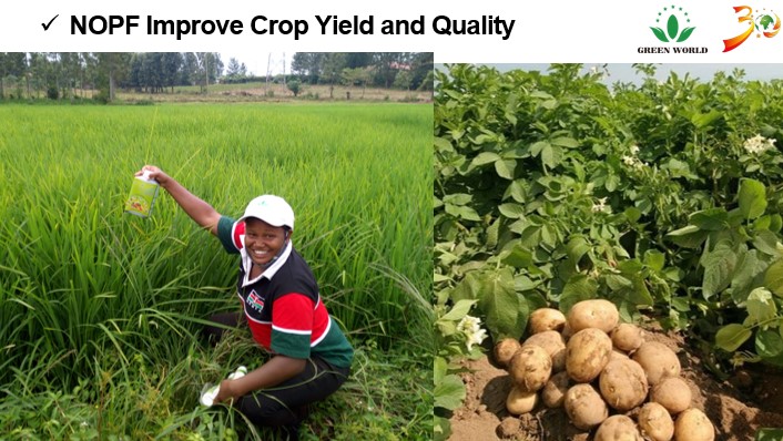 project-slider-image